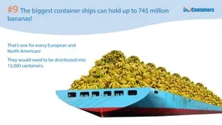 10. 10-curious-facts-about-the-shipping-industry-10-320.webp