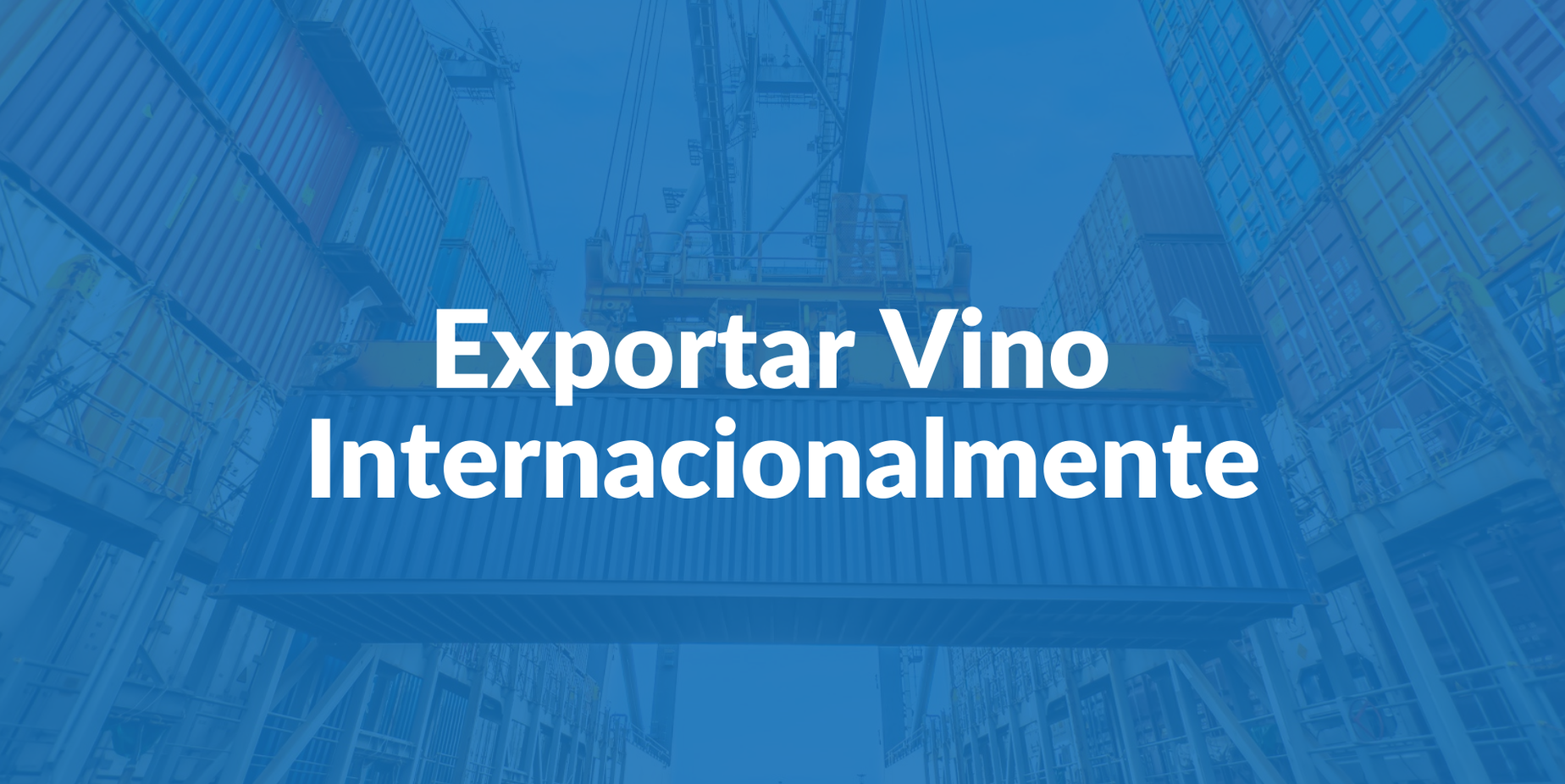 como-exportar-vino.png