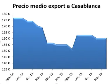 export_casablanca.webp