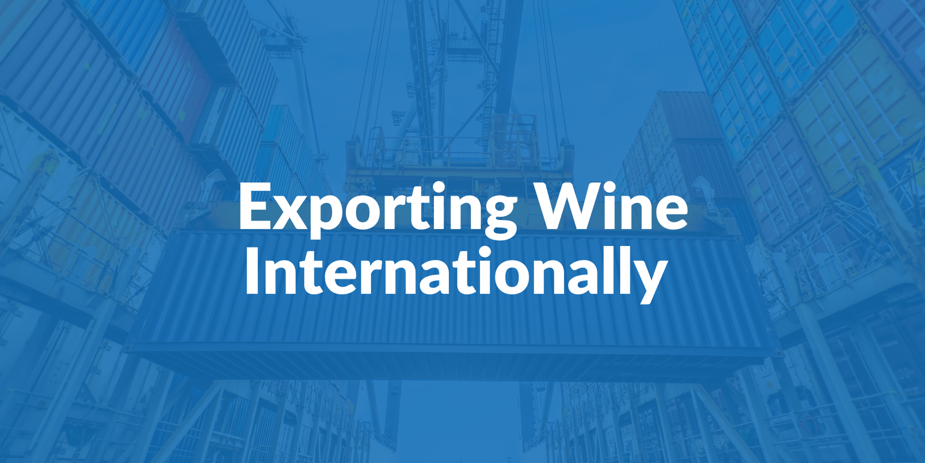 export-wine.png